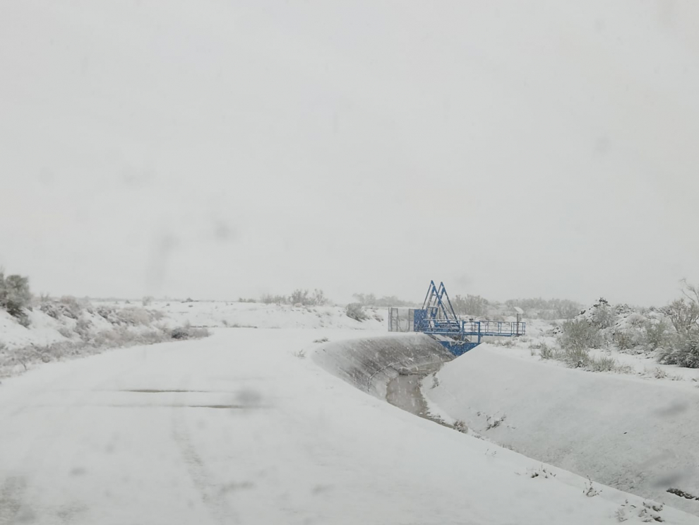 Nieve en Tauste hoy, 19 de enero de 2024