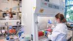 Oxford University/AstraZeneca develop coronavirus vaccine with an average efficacy of 70.4 per cent