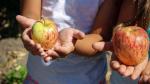 Los huertos urbanos ayudan a que los niños se acerquen a los alimentos de proximidad.