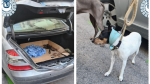 Rescate de tres canes que estuvieron durante tres horas encerrados en el maletero de un turismo.