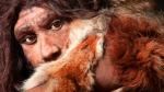Reconstrucción de un hombre neandertal.