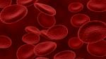 La hemofilia se caracteriza por un defecto de la coagulación de la sangre