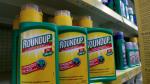 FILE PHOTO: Monsanto's Roundup weedkiller atomizers are displayed for sale at a garden shop near Brussels, Belgium  November 27, 2017. REUTERS/Yves Herman/File Photo [[[REUTERS VOCENTO]]] BAYER-GLYPHOSATE/LAWSUIT