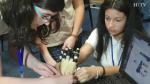 Alumnos del Colegio Nuestra Señora de la Merced de Zaragoza con la colaboración de la Asociación Ictus de Aragón (AIDA) han desarrollado un guante para ayudar en la fase de rehabilitación a los pacientes que han sufrido un ictus.