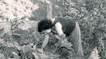 Una de las imágenes, en la que se puede ver a una mujer realizando labores agrarias.
