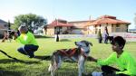 Participantes en el V Envento Canino celebrado en Brotalia