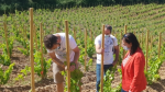 Estrategia de promoción 'Aragón, tierra de vino y talento' se pone en marcha