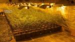 La Unidad Orgánica de Policía Judicial de la Guardia Civil de Huesca junto con la Guardia Civil de Binéfar han desmantelado una plantación “indoor” de marihuana del interior de una nave