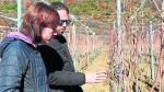 Pilar Gracia y Ernest Guasch, junto a uno de los viñedos que han plantado y recuperado y recuperado viñedos el Pirineo.