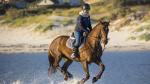 Los mejores lugares de Aragón para practicar equitación.