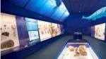 Recreación infográfica de la sala museo incluida en la nueva atracción del Mar Jurásico.