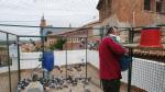 Captura de palomas en Ayntamiento de Teruel 28-04-08 F. J. Escuder[[[HA ARCHIVO]]]