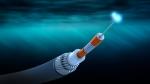 Los cables submarinos se emplean para transmitir grandes cantidades de datos entre continentes, pero también pueden actuar como sensores ambientales.