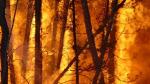 Las temporadas de incendios son cada vez más largas y extremas