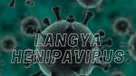 Henipavirus, nuevo virus descubierto en China