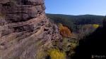 Los pinares de rodeno son Paisaje Protegido y ocupan gran parte de la comarca de Albarracín