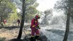 Foto de la extinción del incendio del Moncayo, en La Muela de Borja, el pasado 15 de agosto
