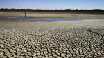 La laguna de Doñana sufre la sequía y la sobrexplotación.