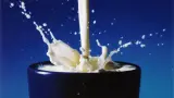 Por qué la leche se derrama al hervir y el agua no?