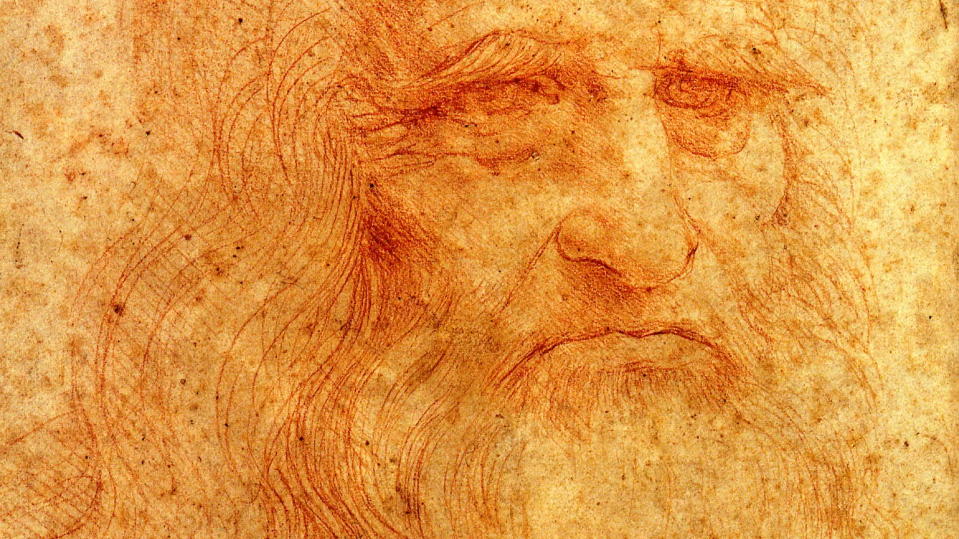 La Madre De Leonardo Da Vinci Era Una Esclava Del Cáucaso 4241
