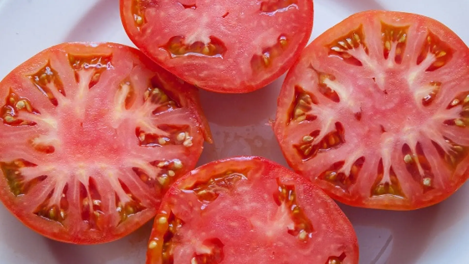 rosa Tomate