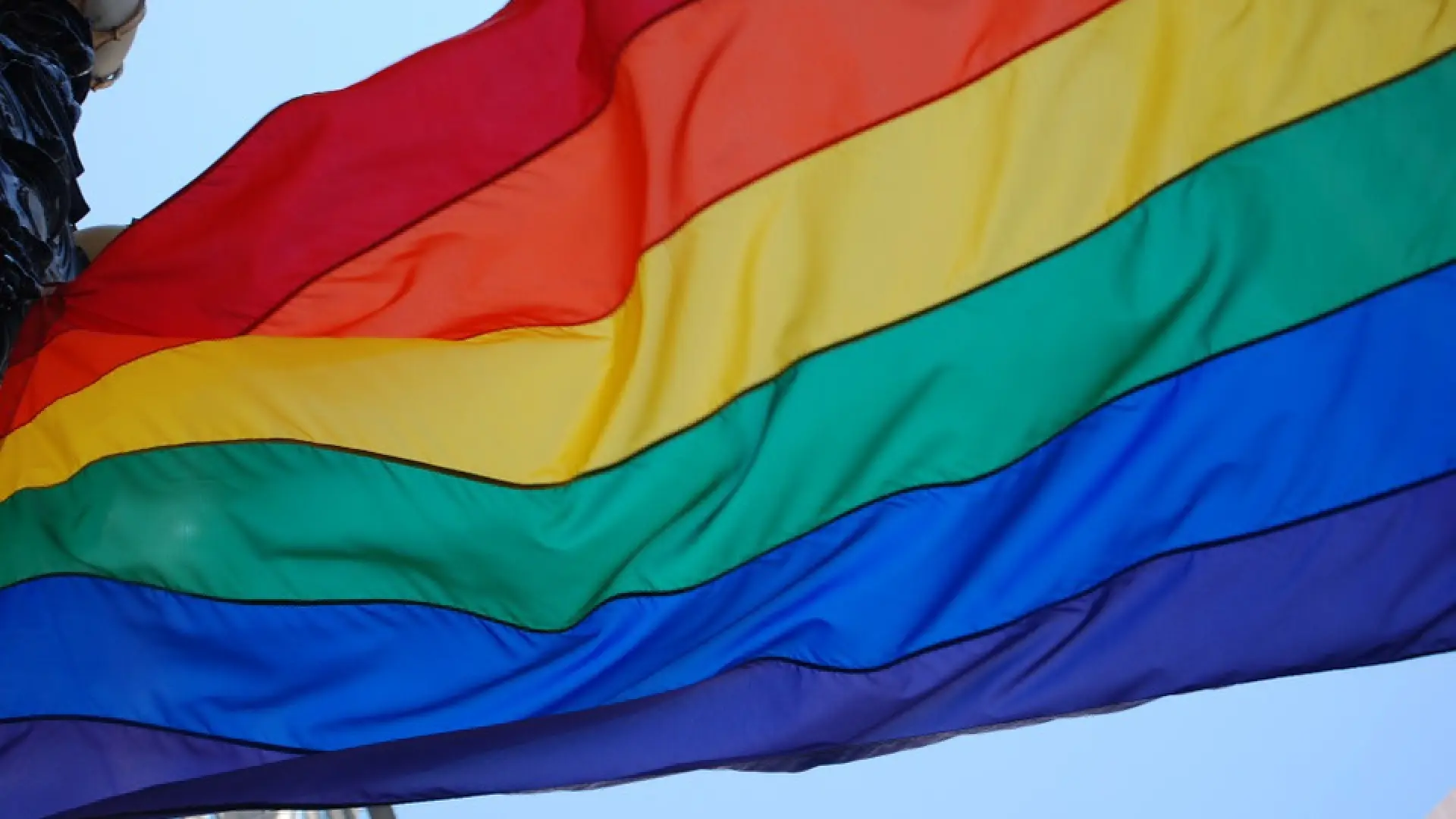 ¿por Qué La Bandera Del Orgullo Gay Tiene Los Colores Del Arcoíris Noticias De Heraldo Joven
