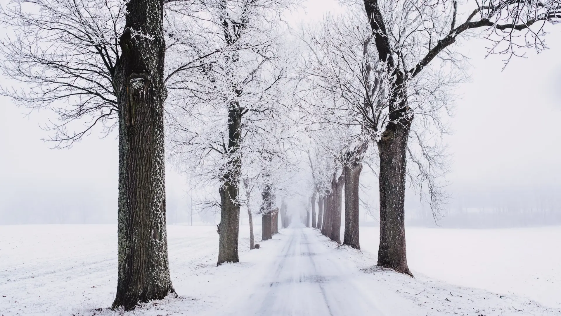 Qué significa soñar con nieve? | Heraldo.es