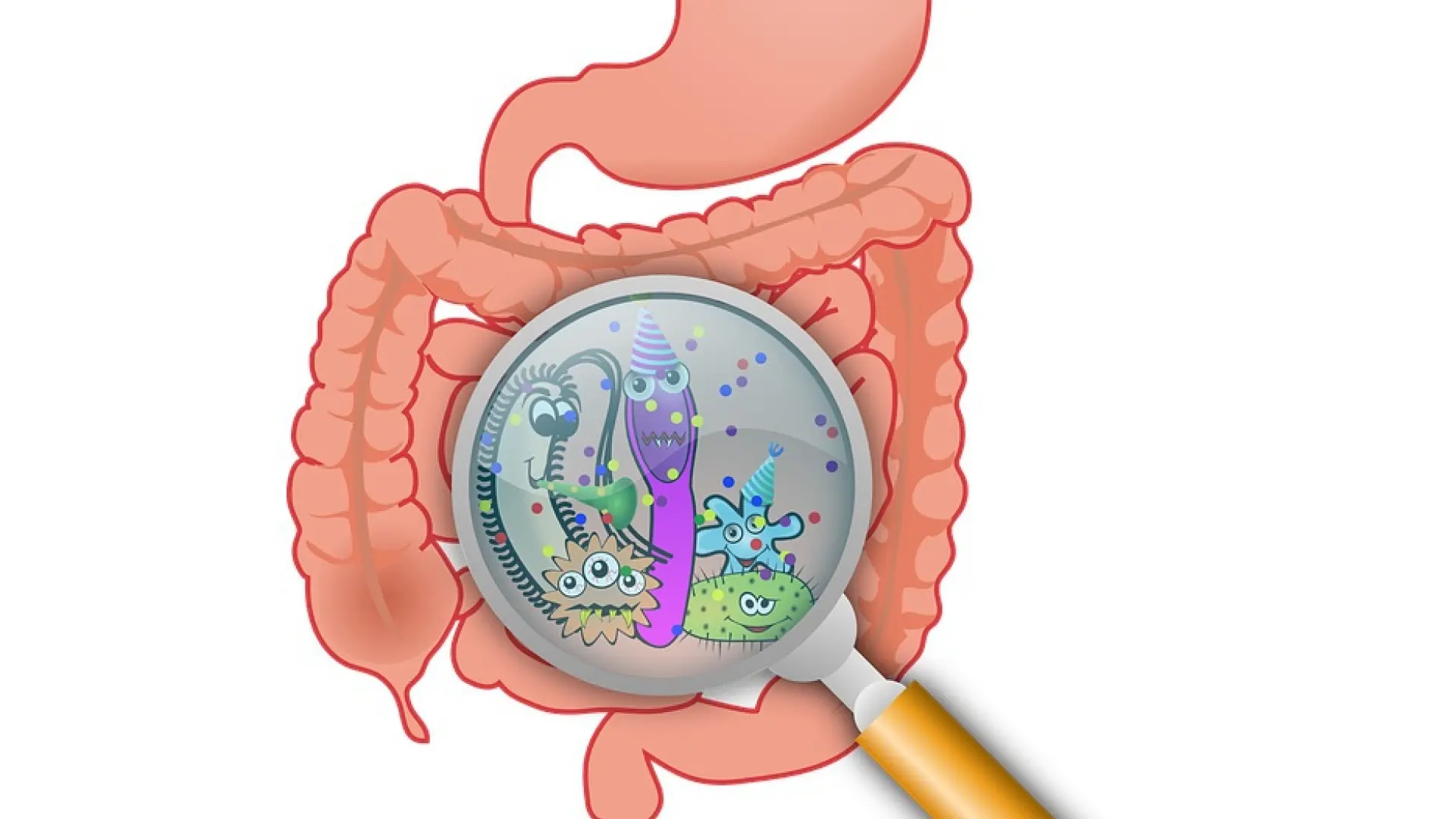 tratamiento de gastroenteritis