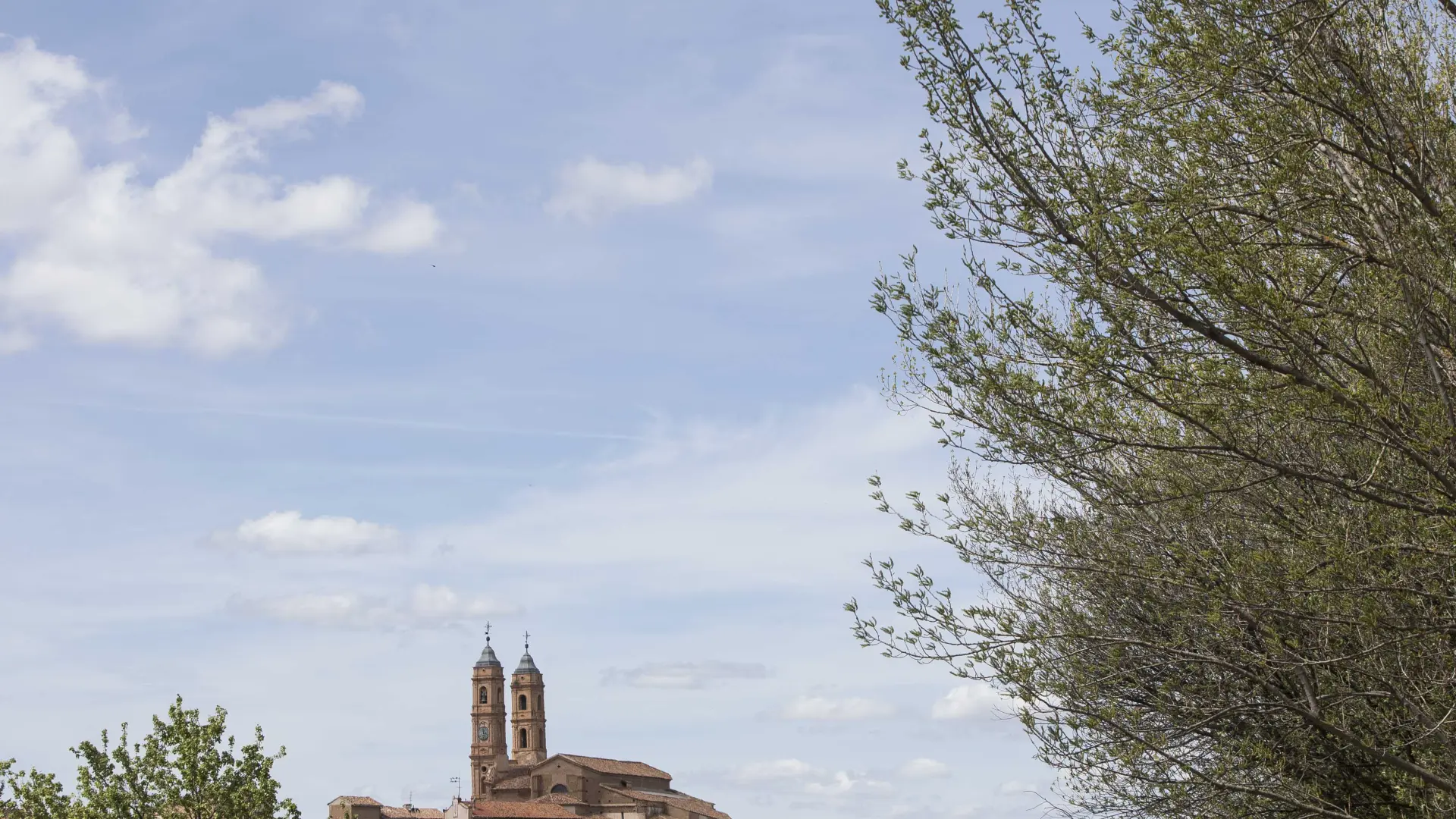 Munébrega: fruta, disfrute, albergue y honor a ilustres