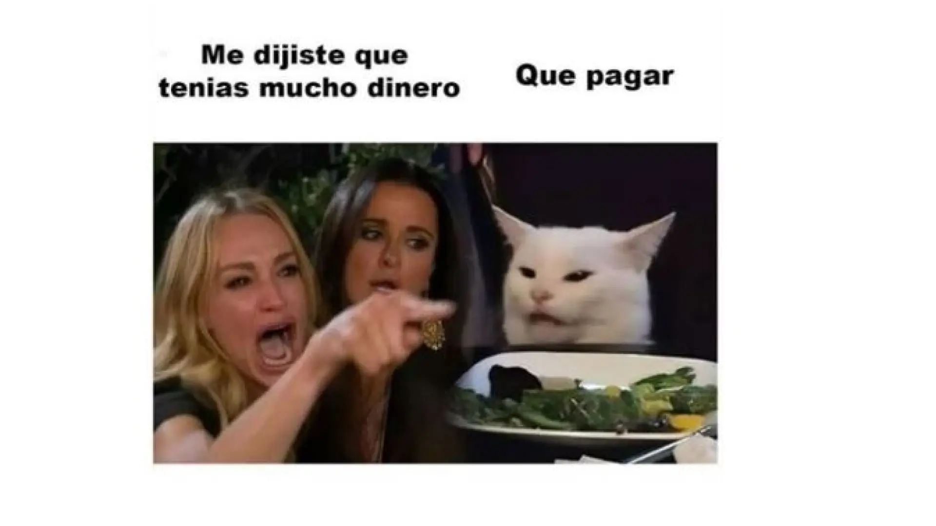 memes de animales en blanco