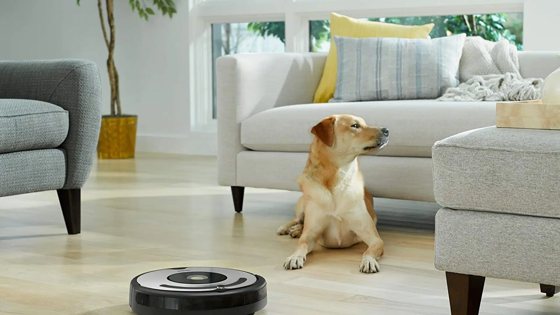 Cuatro ventajas de tener un robot aspirador inteligente y una es aprovechar el descuento de Roomba en Amazon