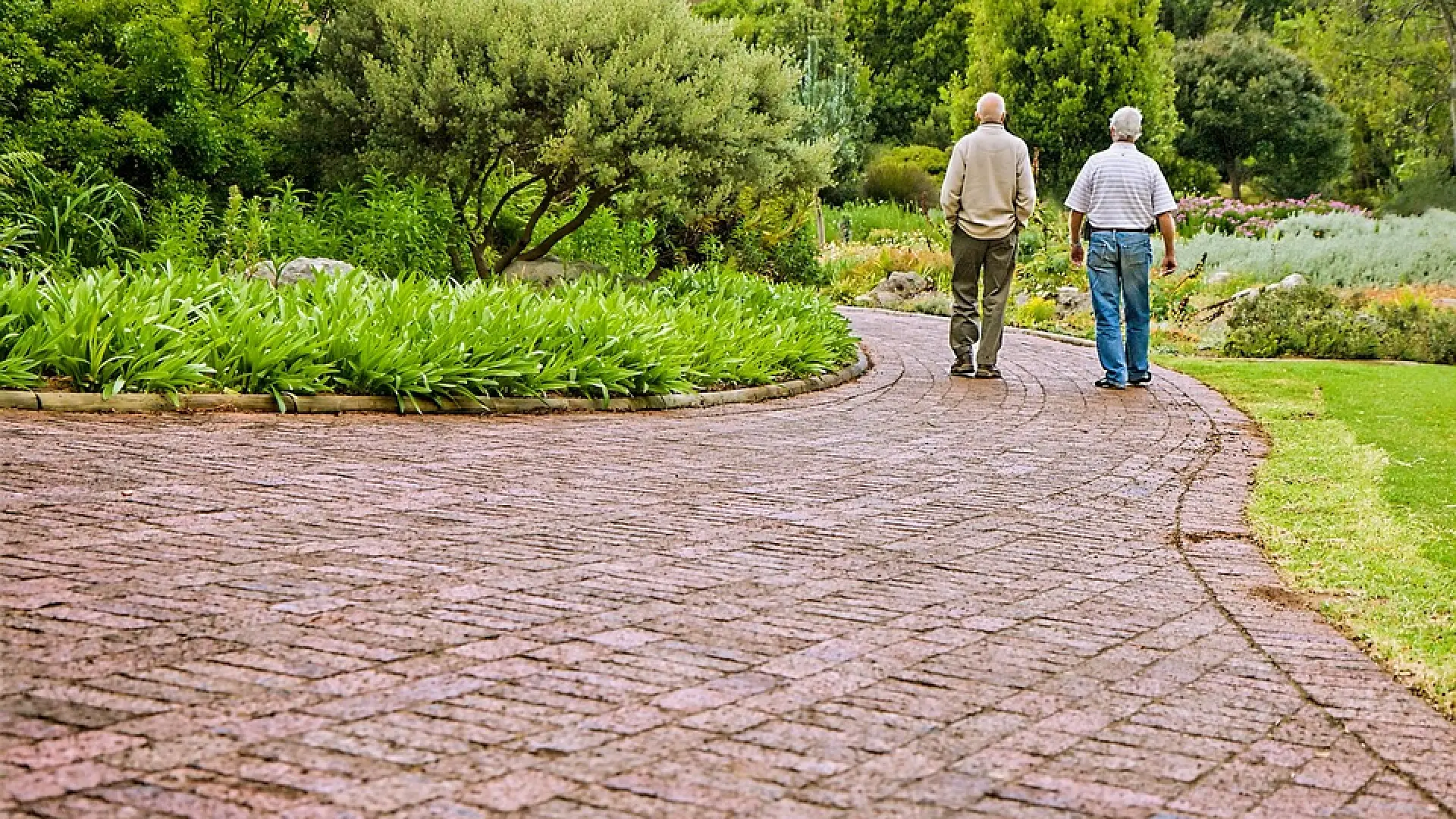 Ancianos LGTBI: abrir camino incluso en la vejez, en libertad y sin  discriminación