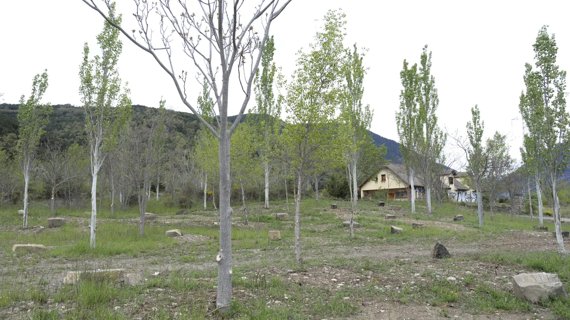 Tragedia del camping Las Nieves en Biescas