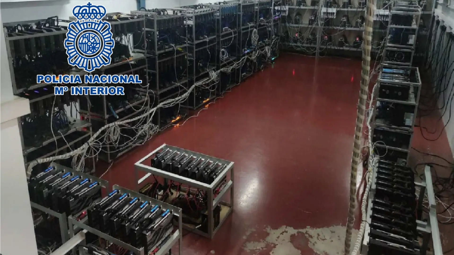 Investigaban una plantación de marihuana y hallan una granja de  criptomonedas