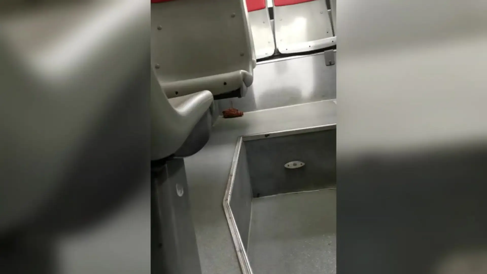 Defeca en un autobús de Zaragoza e intenta huir