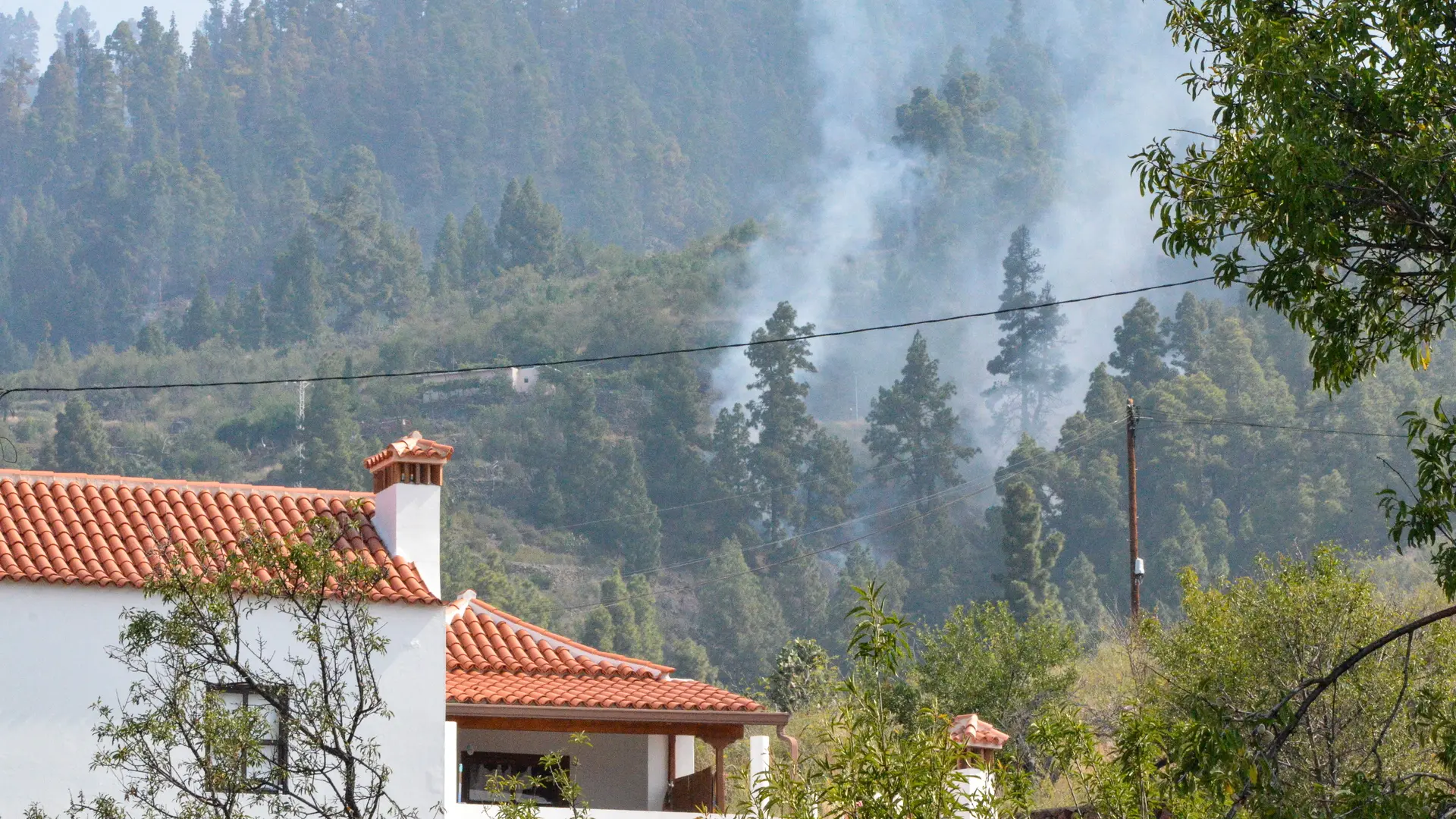 Se Mantienen Las Evacuaciones Por El Incendio De La Palma Y Se Trabaja ...