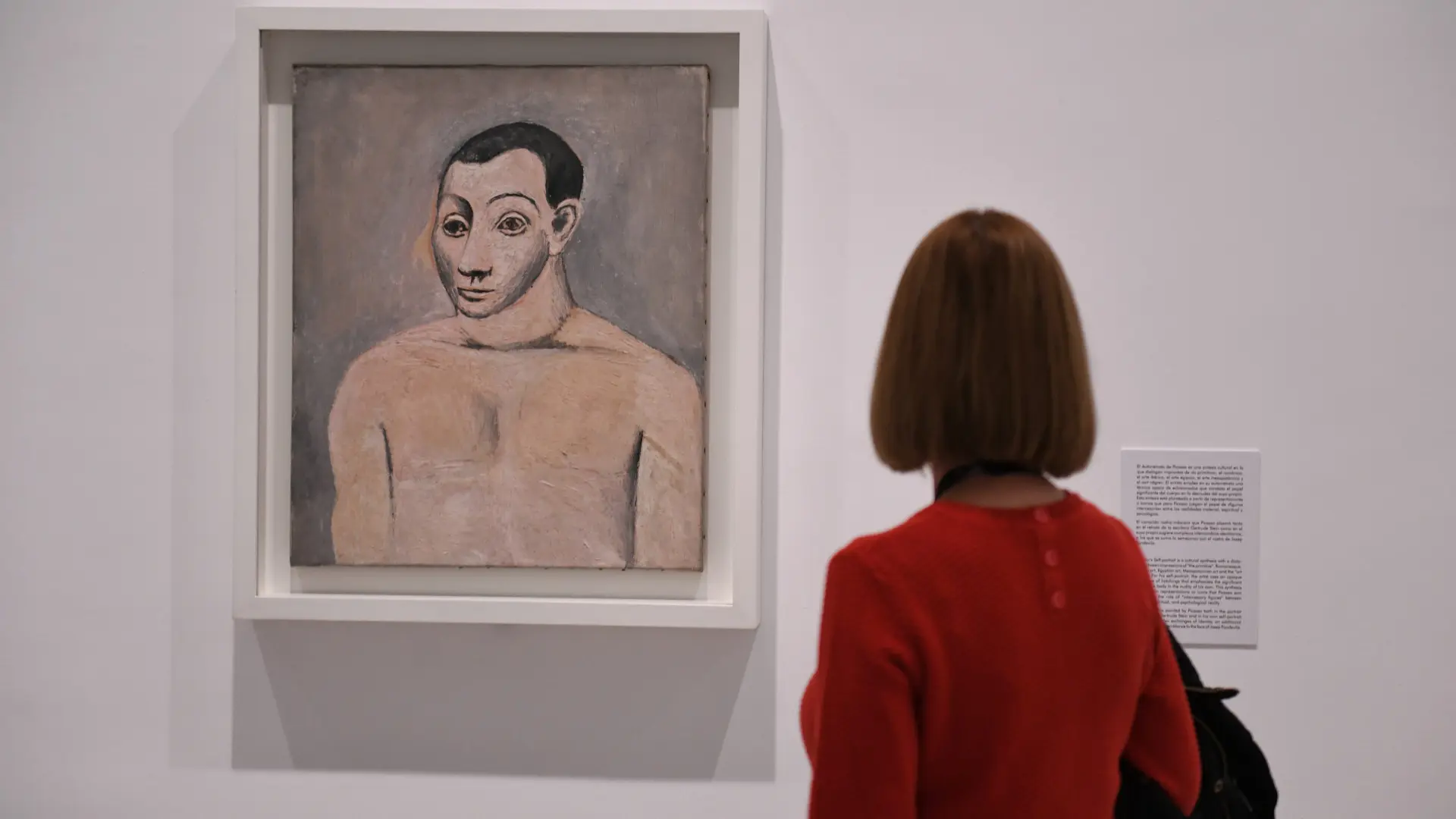 El Museo Reina Sofía recoge la sensibilidad homoerótica de Picasso en su  gran exposición de 1906