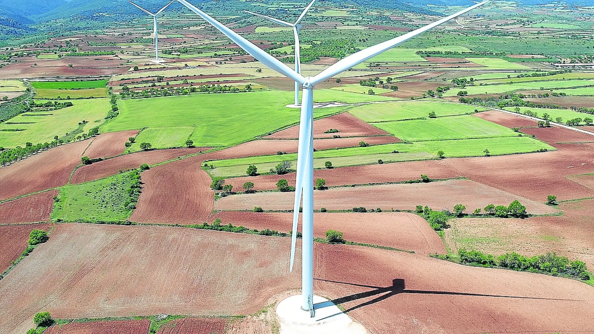 Forestalia Sufre Un Nuevo Revés Y Otros Trece Parques Eólicos Se Quedan Sin Conexión Eléctrica 6592