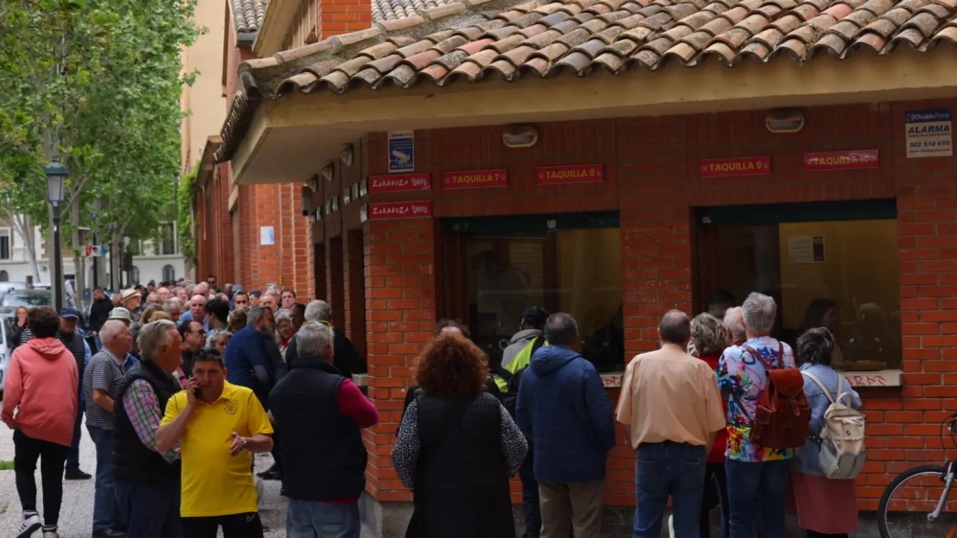 Locura Por Las Entradas Para La Corrida De Roca Rey En Zaragoza