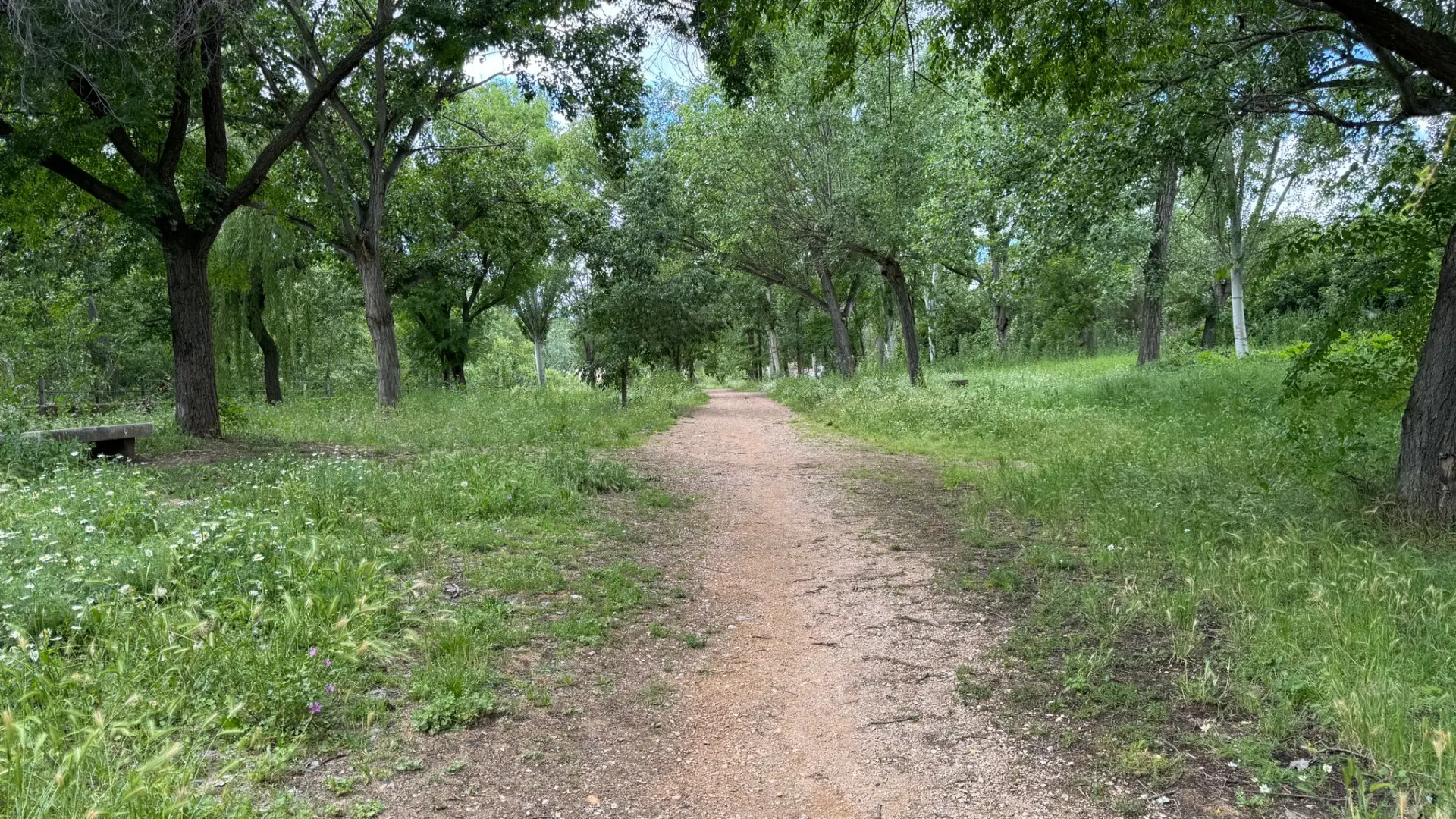 Las agresiones sexuales a dos chicas de 15 años en Barbastro ocurrieron en  un parque cerca del río