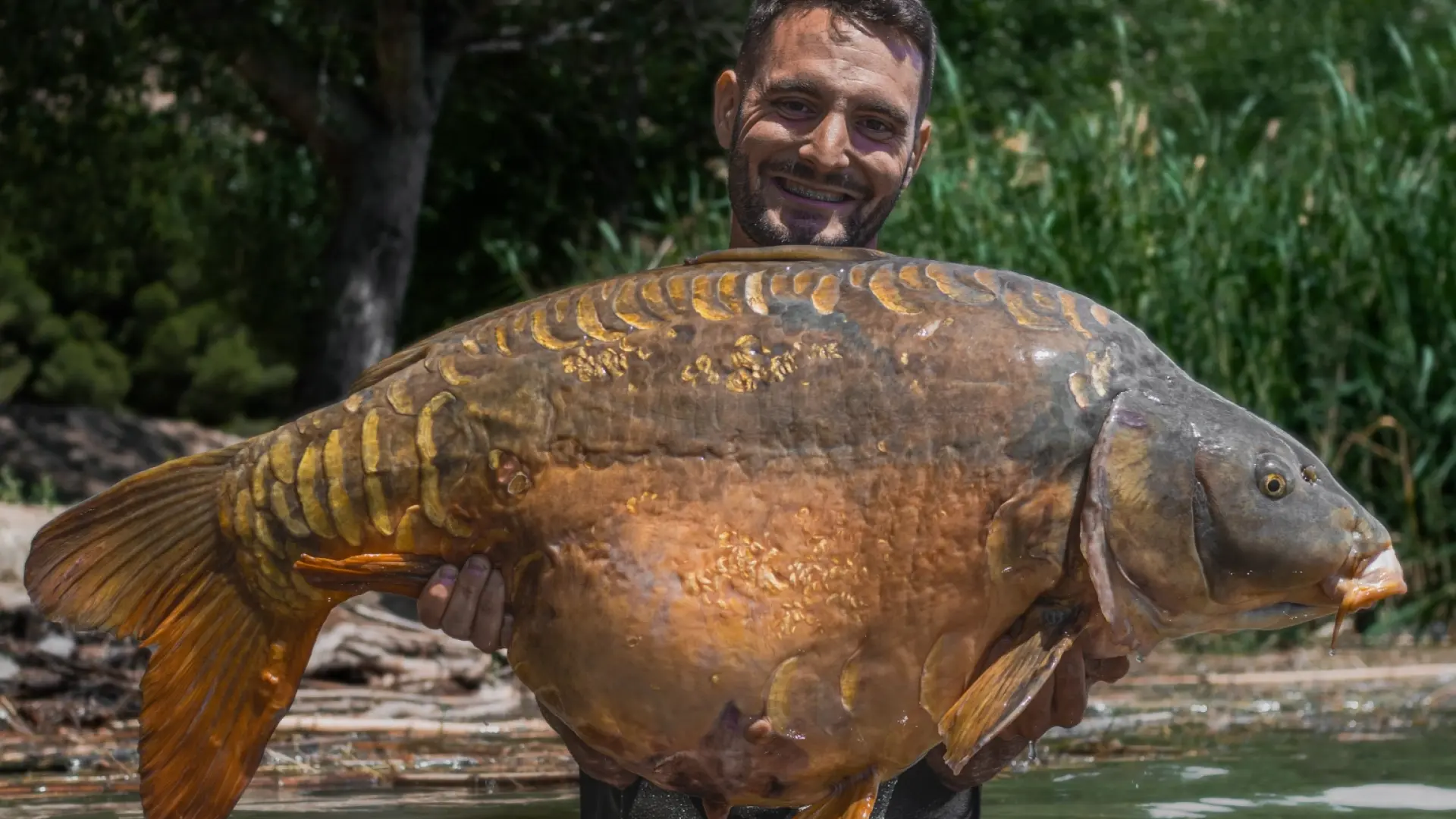 Peso Pesci Bilancia Pesca Digitale NGT - Per Carpa, Luccio, Mare - Foto 5