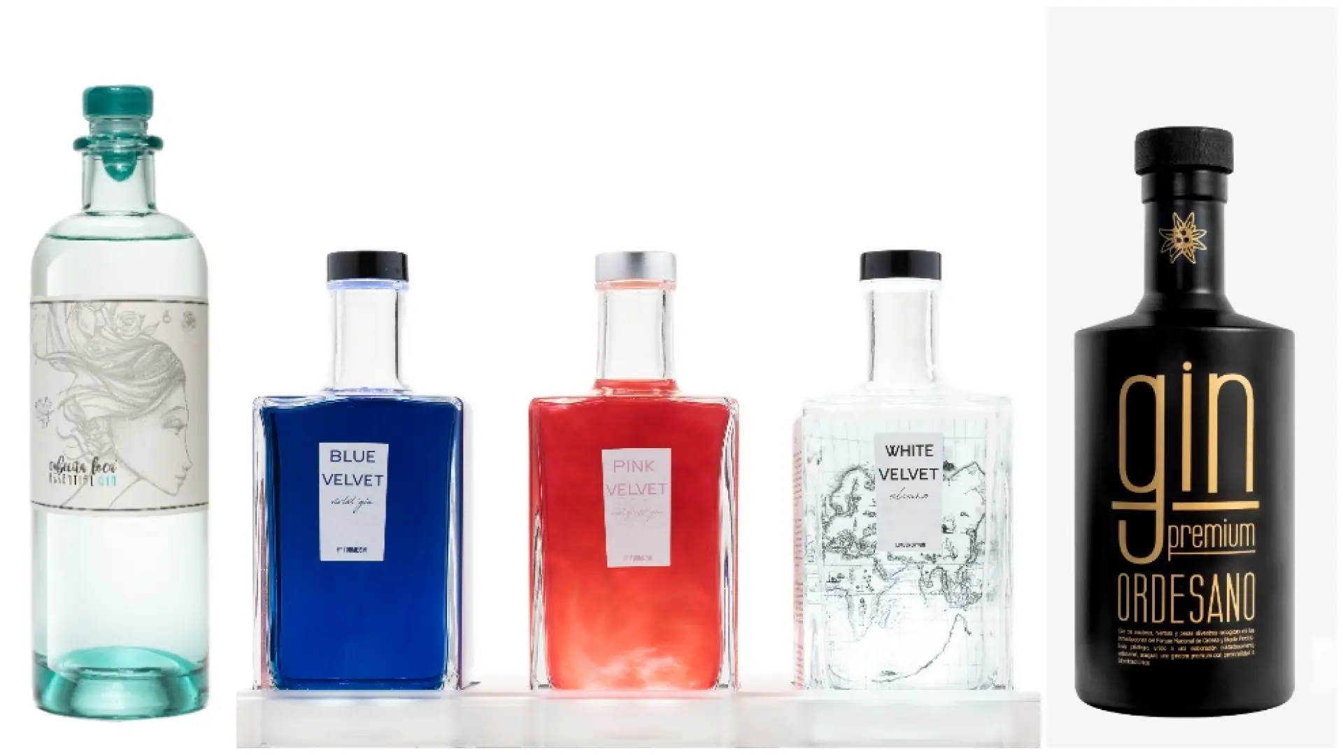 Un brindis con ginebras de gen aragonés