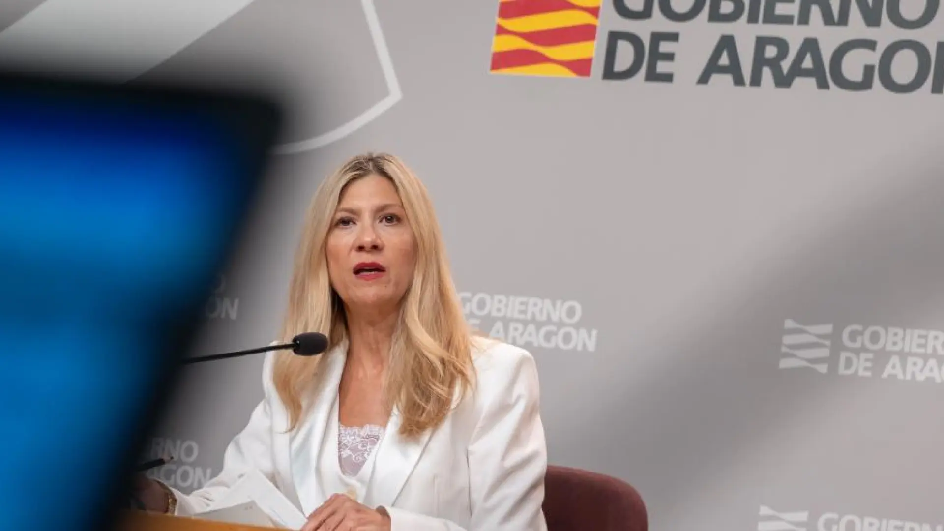 Vaquero dice que el fallo del TC contra la ley de renovables en Aragón tendrá poco efecto