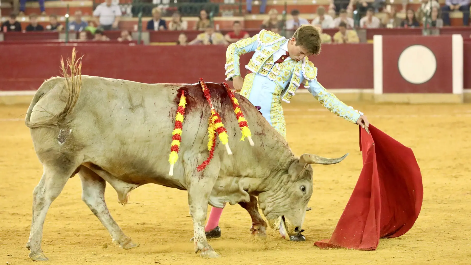 Novillada de la Feria del Pilar: Javier Zulueta deslumbra en Zaragoza