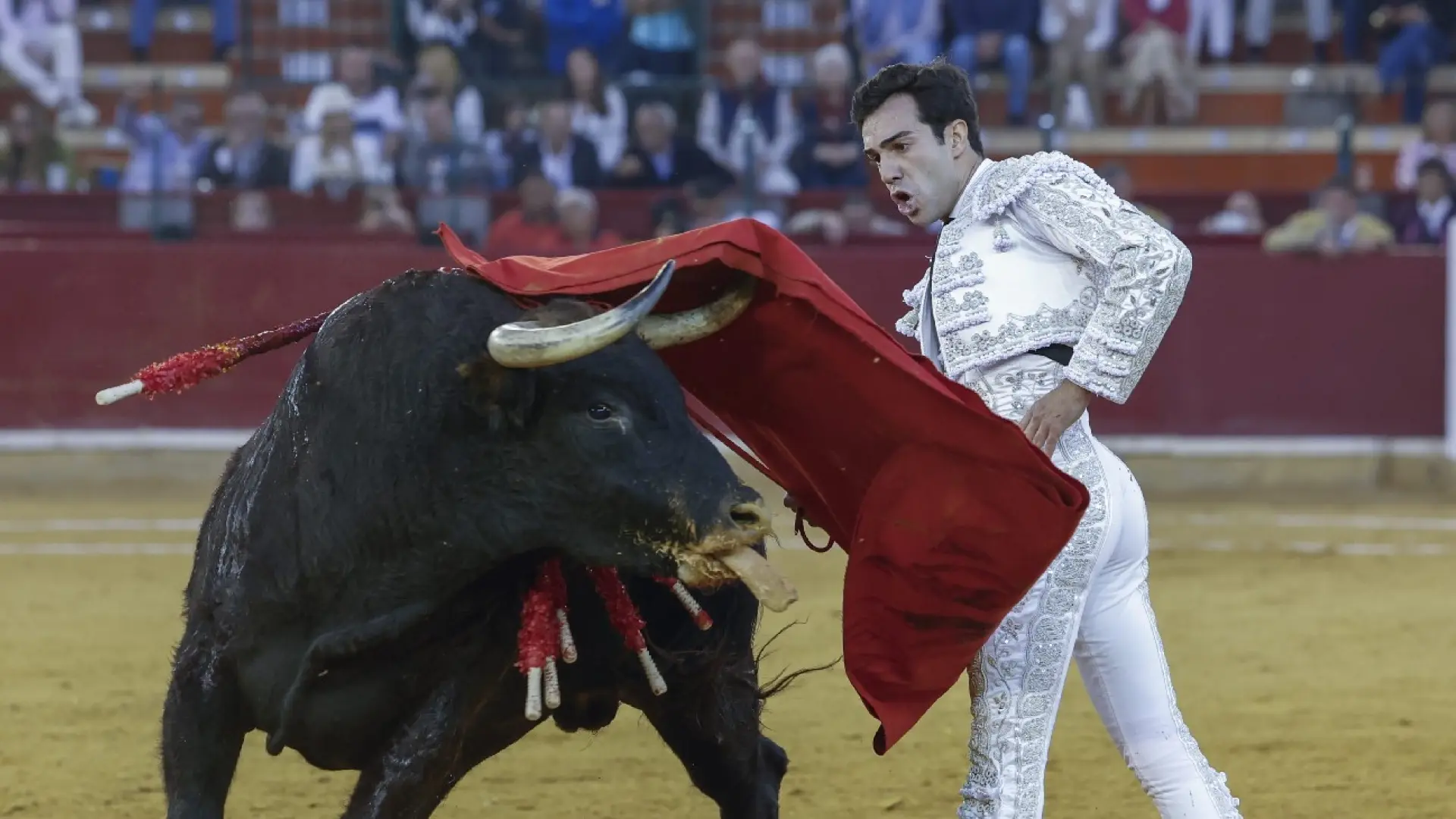 These are the three best-performing bullfighters in Aragon 2024