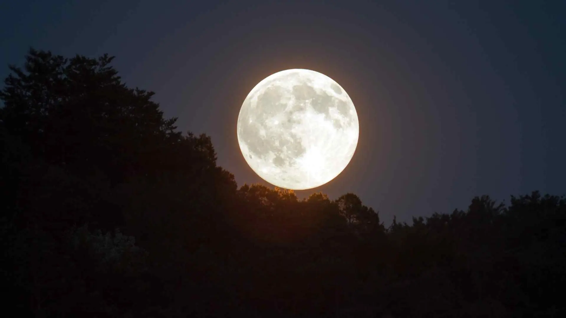 The latest Superluna del año: El día y Hora Perfecta for Noviembre