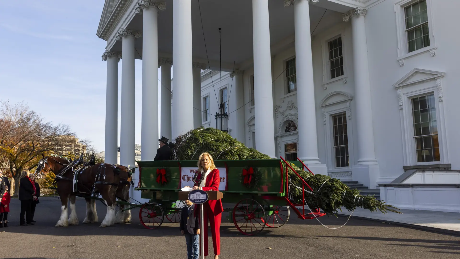 The fir tree that withstood Hurricane Helene will be the White House Christmas tree