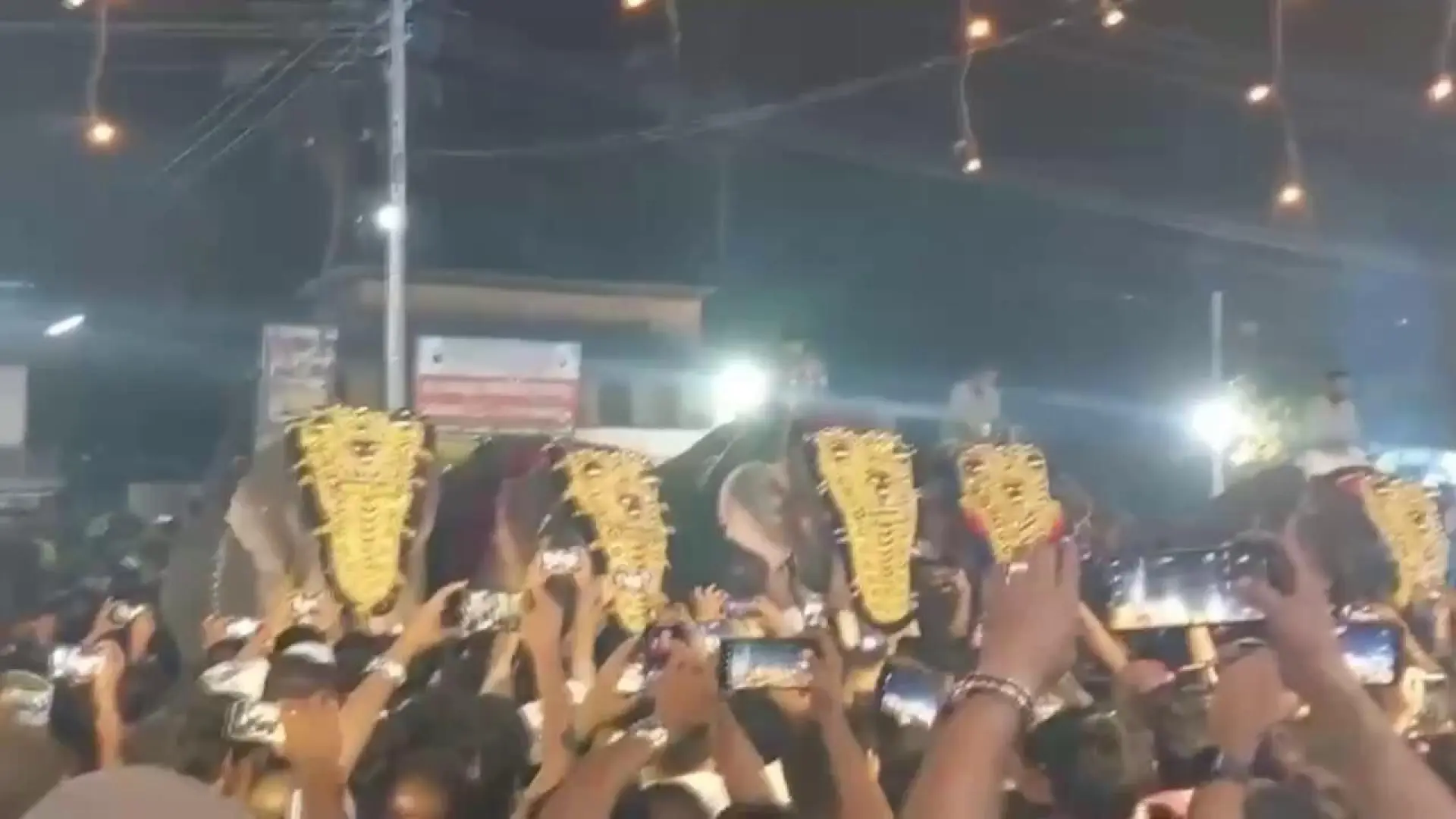 Momento en el que un elefante embiste contra la multitud durante un ...