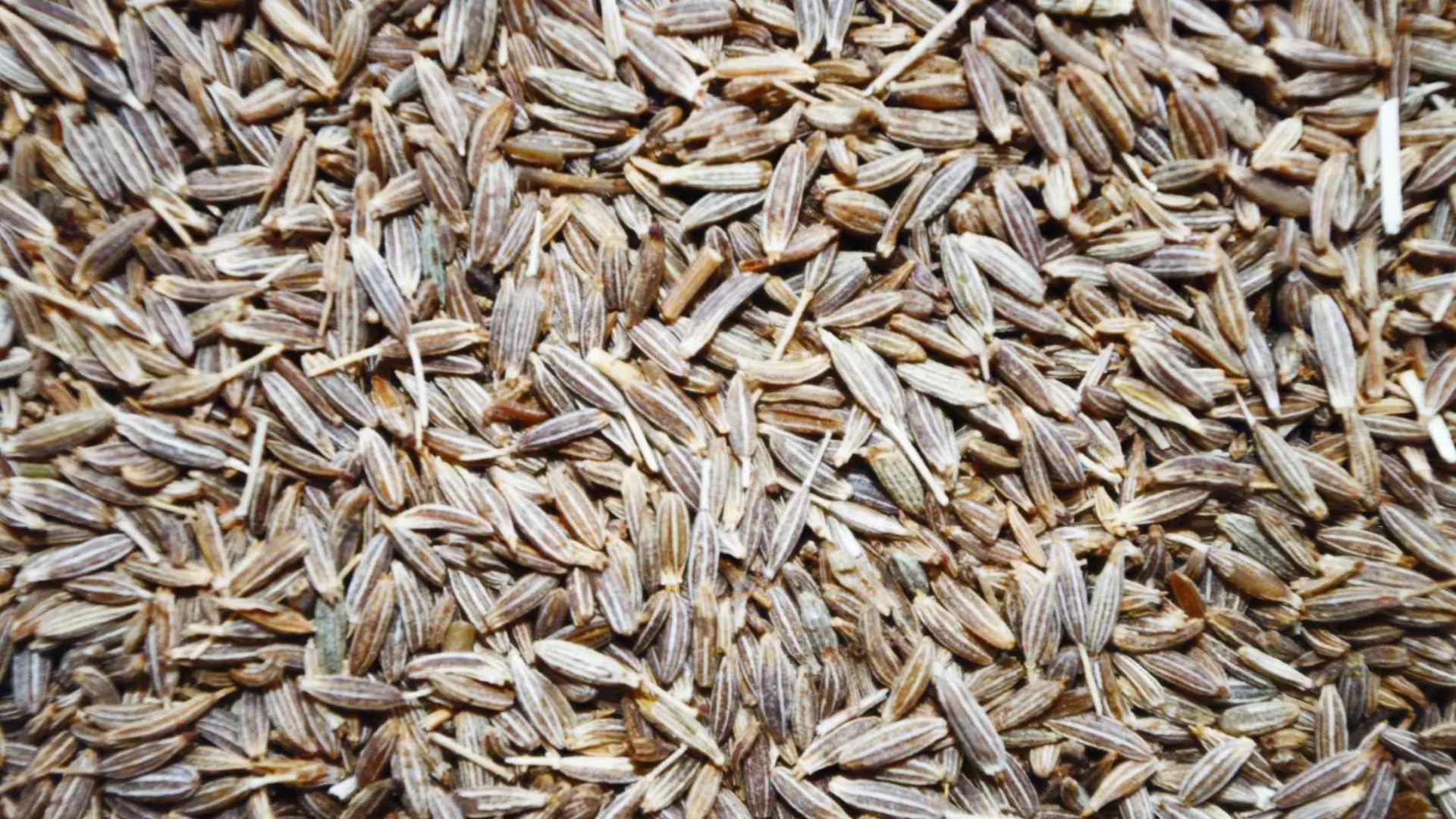 La planta que aumenta las defensas, mejora la digestión y ayuda a dormir como un bebé