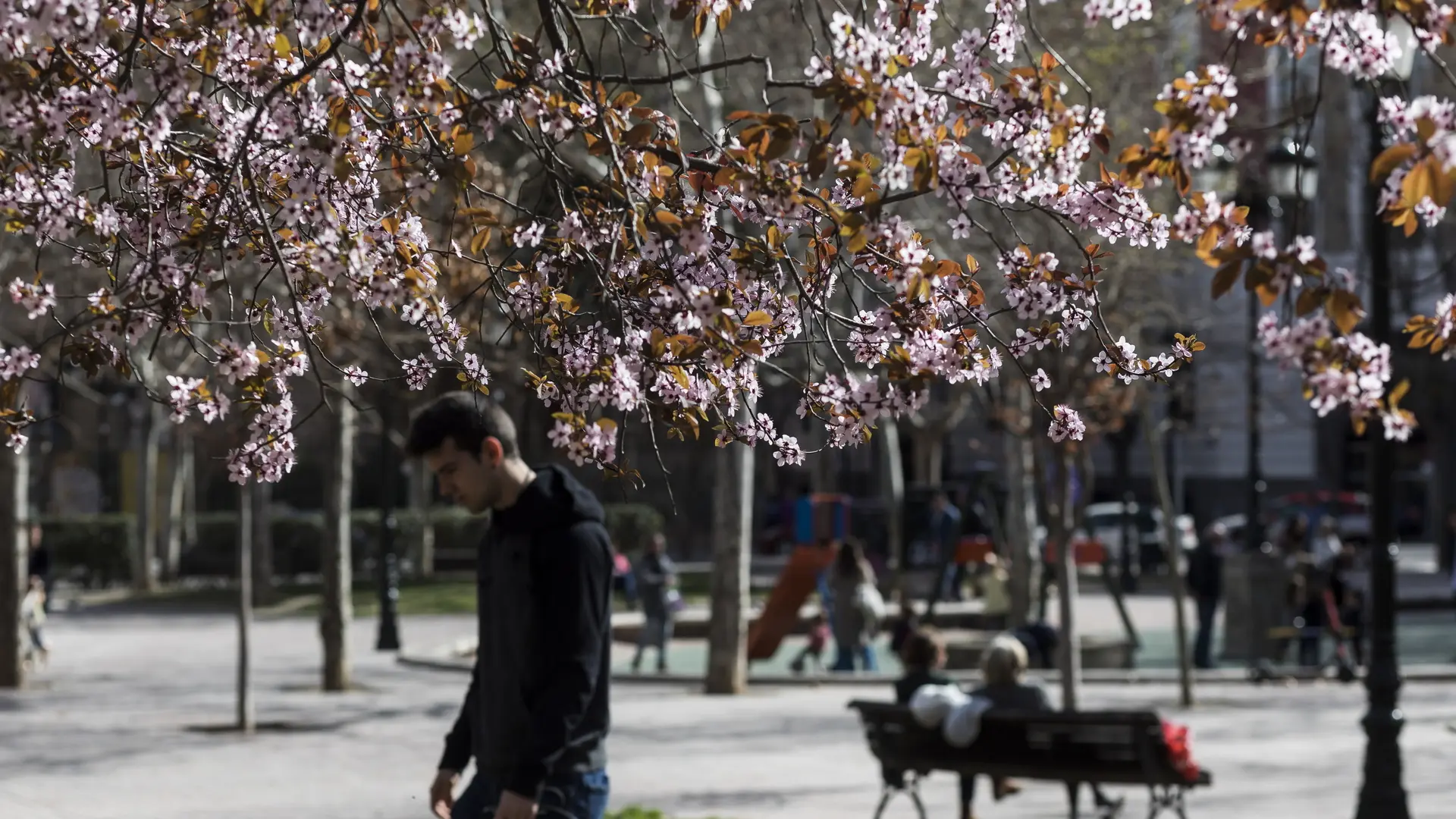 Vuelve el calor primaveral a españa mientras se esperan lluvias en estas zonas